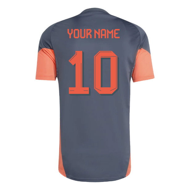 2025-2026 Bayern Munich Training Shirt (Bold Onix) (Your Name)-PitchVibe Kits